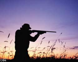 В Омской области охотники незаконно отстреливают косуль