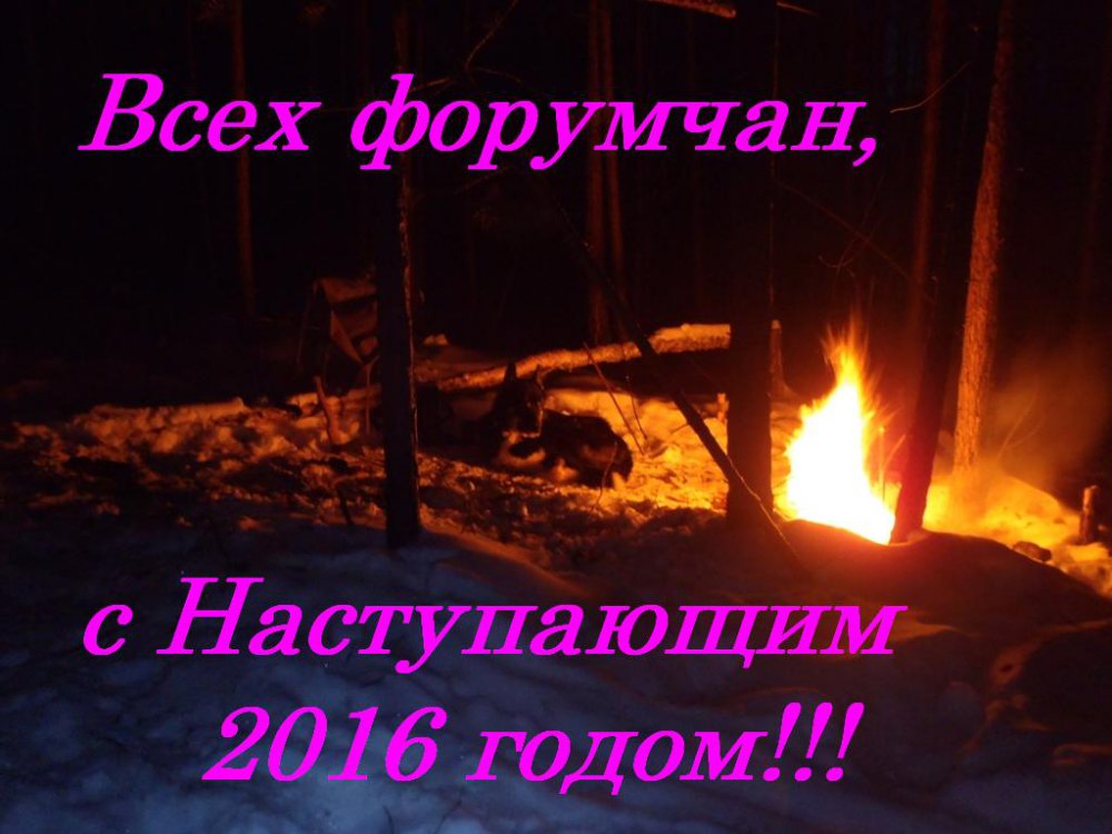 с Наступающим 2016 годом!