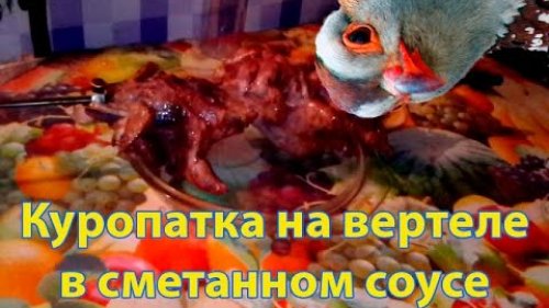 Куропатки на вертеле в сметанном соусе | Охотничьи рецепты
