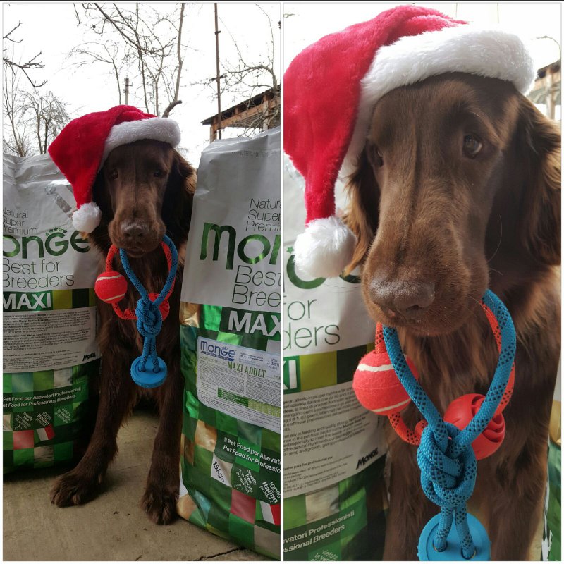 Всех с наступающим новым годом )))