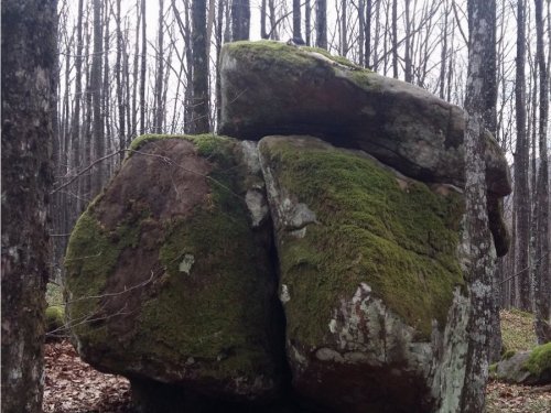 Камни в лесу