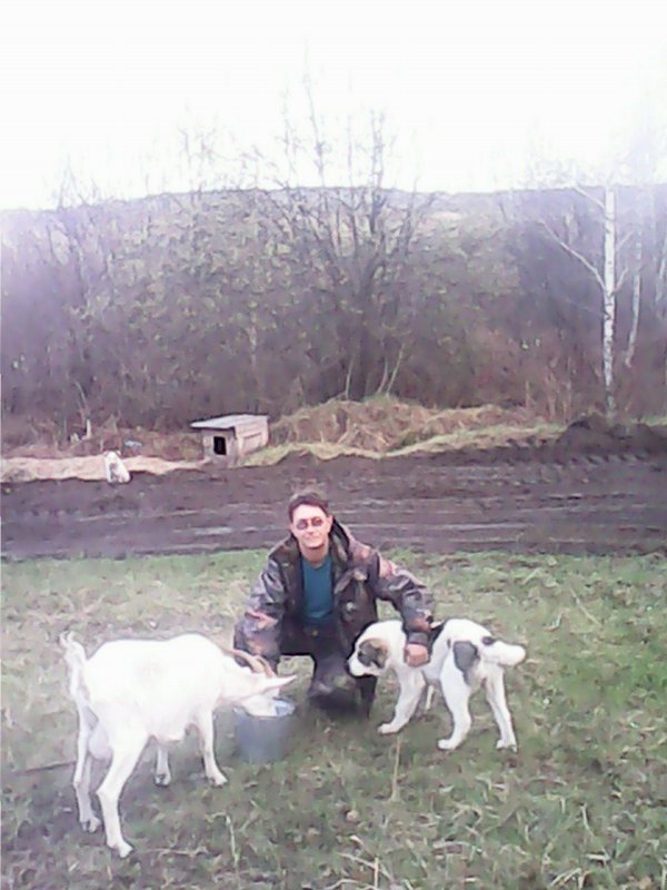 Женька(4мес)