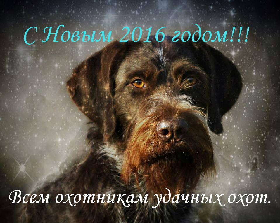 С Новым Годом!!!!!