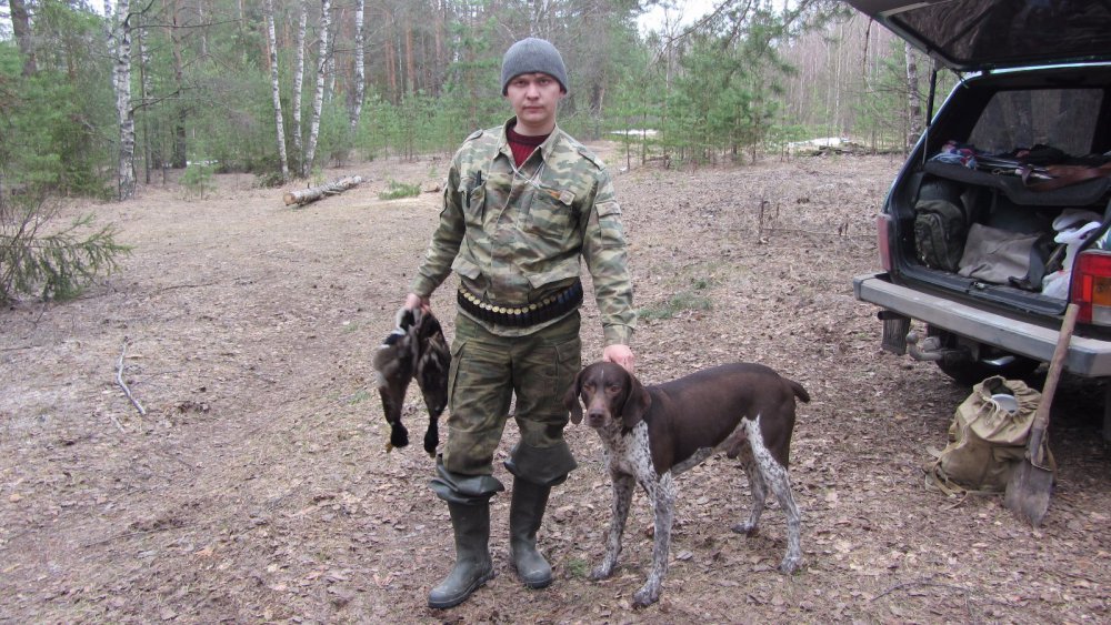На ужин