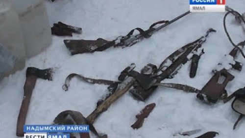 В охотничьих угодьях Надымского района кроваво поработали браконьеры