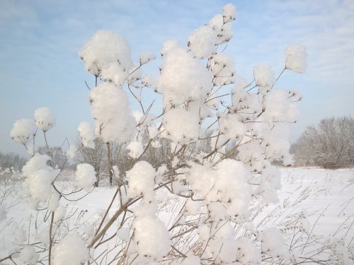 Зимние узоры