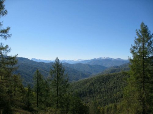 Алтай