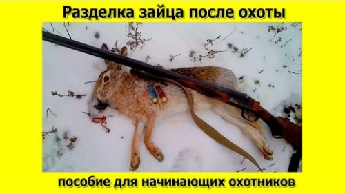 Разделка зайца после охоты