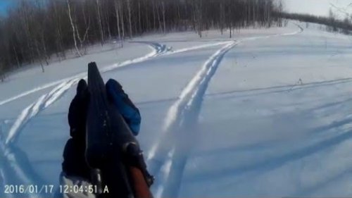 позор года на зимней охоте.