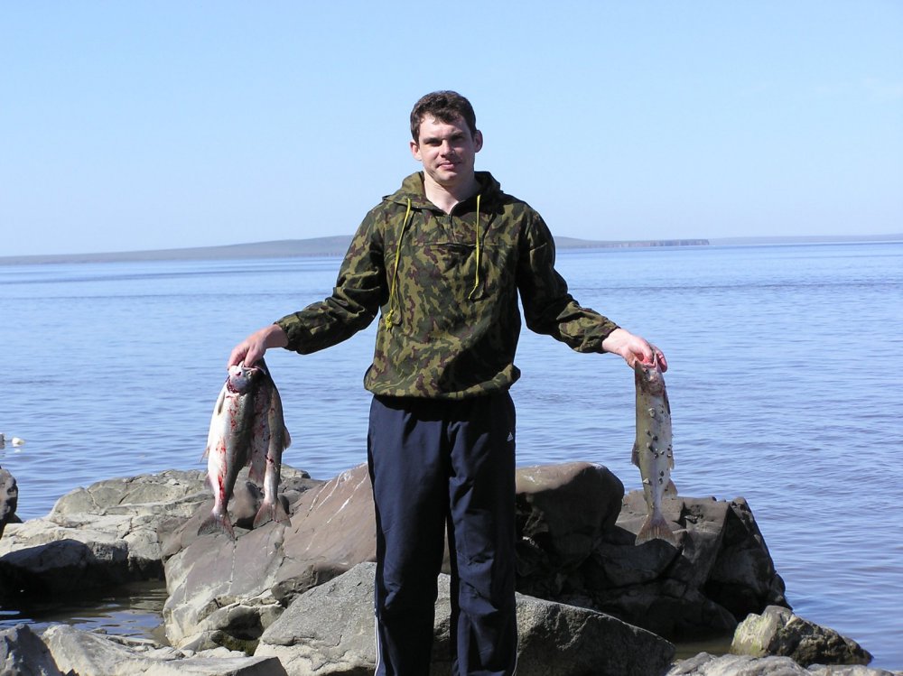 улов