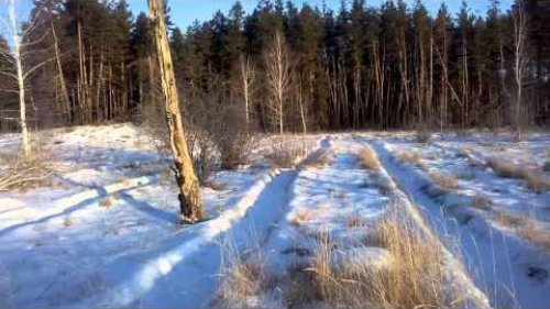 Край непуганных заЯцев  Подъём с лёжки