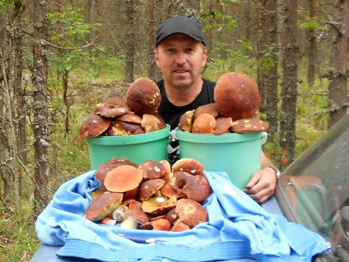 Грибочки.