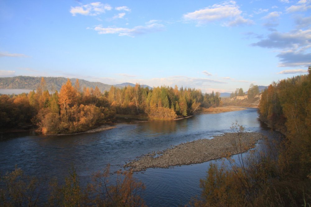 река Кокса Алтай