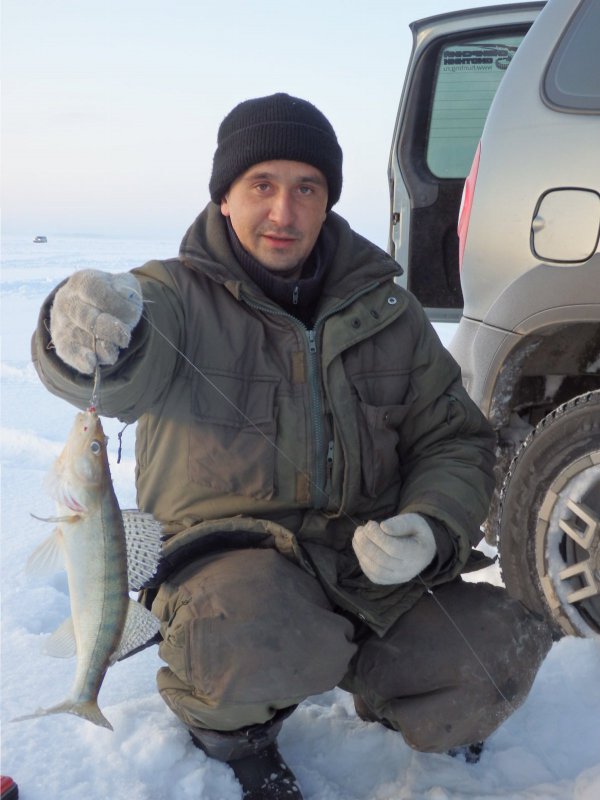 красавец