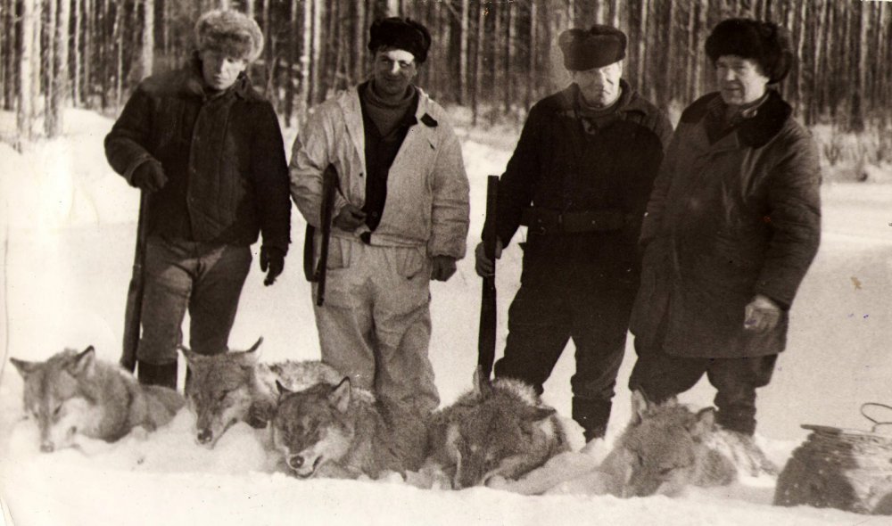 1988 год. Под Тулой на жителей нападает неизвестное животное. С таким милиционер