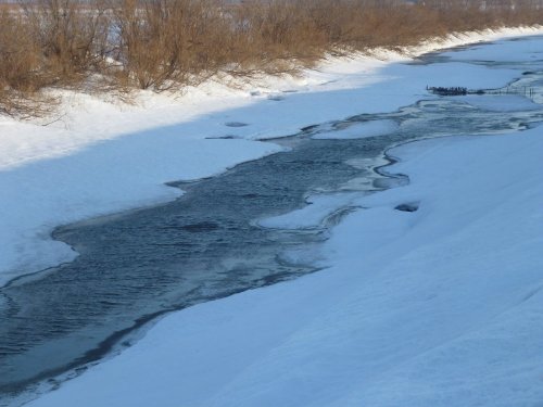 Первая утка будет в этом месте