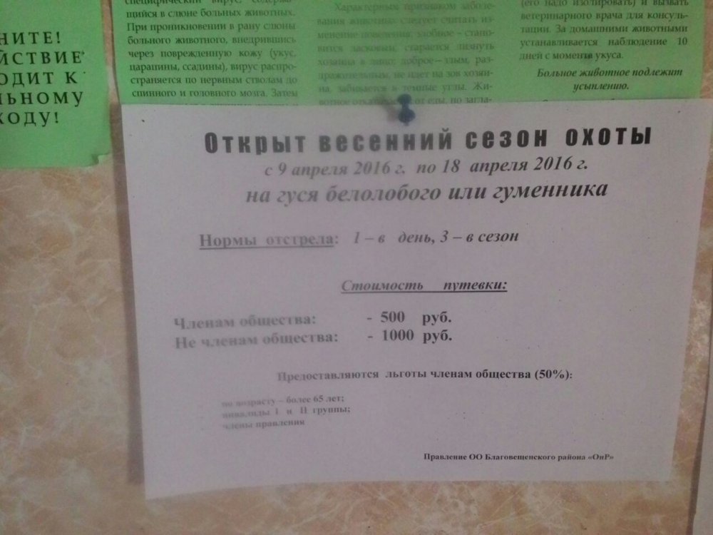 Алтай Благовещенка