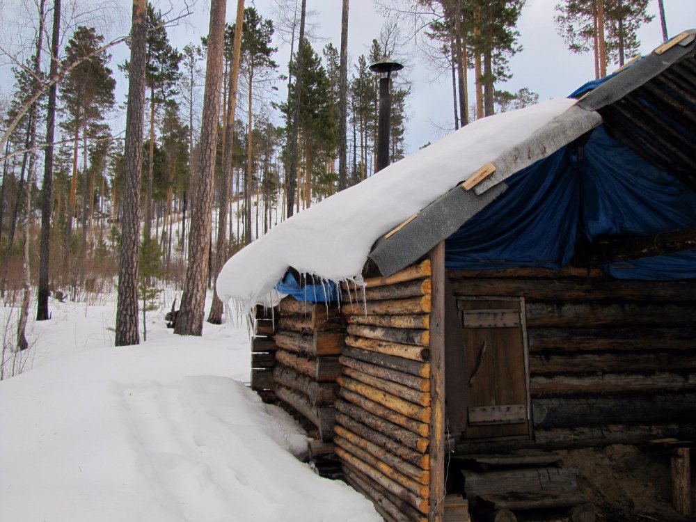 Весна в разгаре