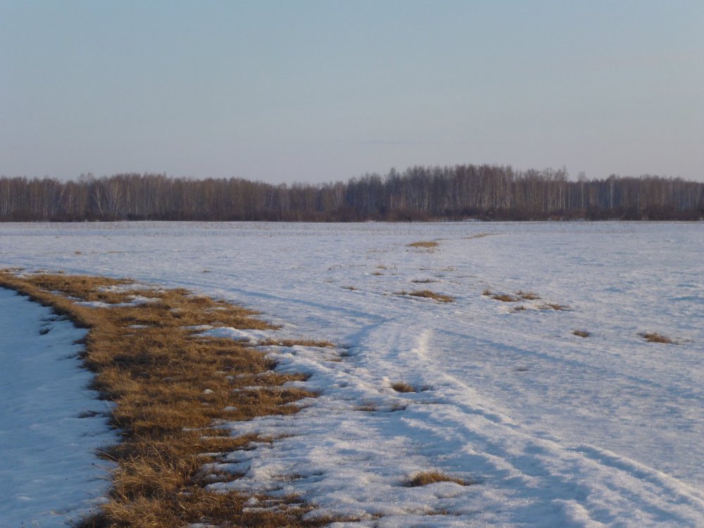 Остатки снега на полях