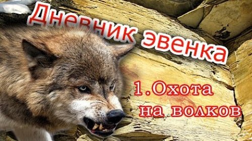 Охота на волков 2.