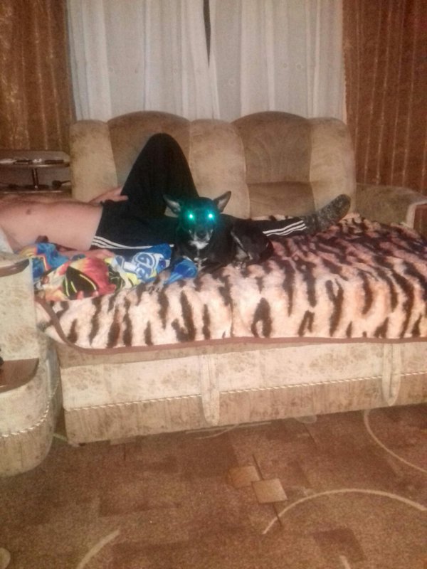 Демоненок...