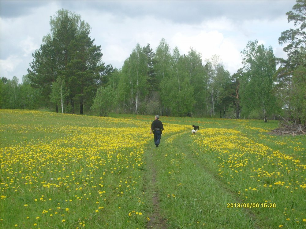 прогулялись
