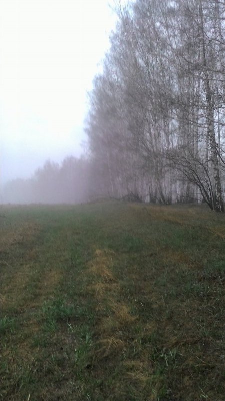 Утро туманное.