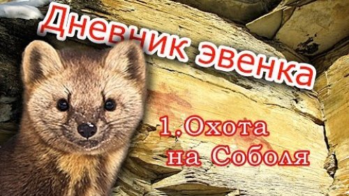 Охота на соболя, капканы.