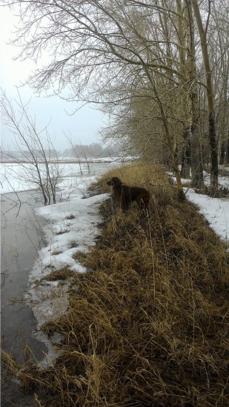 Прогулка