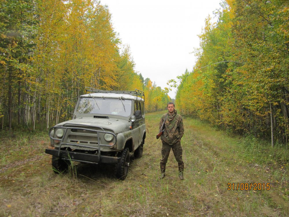 осень 2015