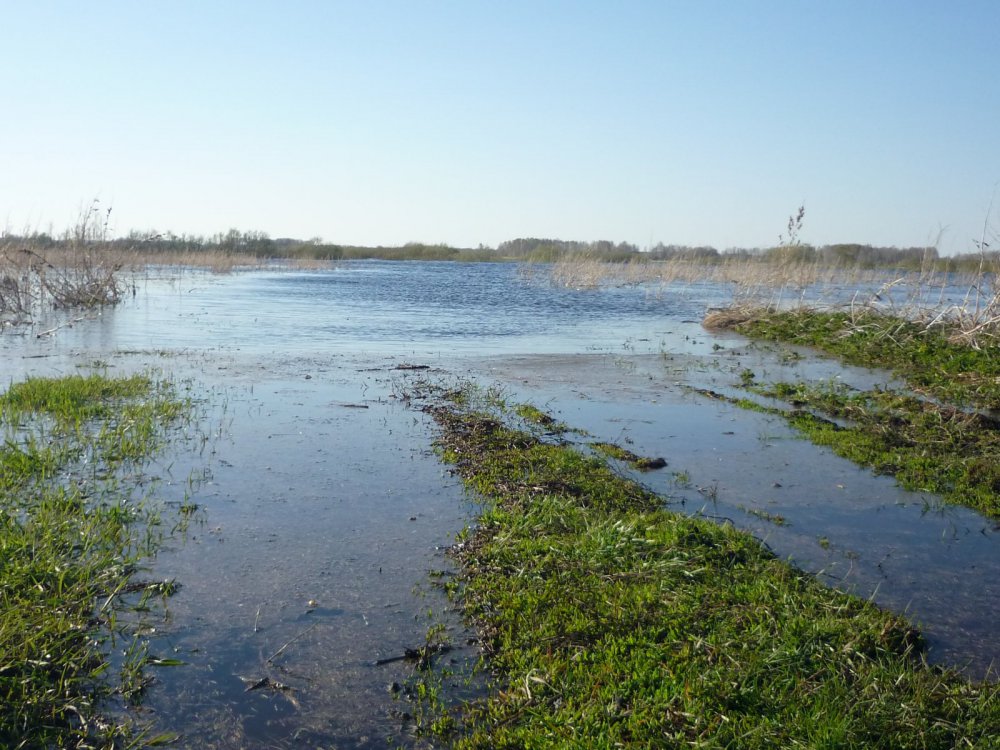 Разливы реки Тартас.