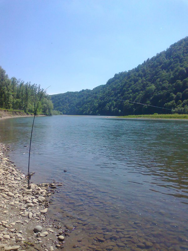 Река Тиса