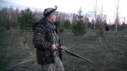 Охота на вальдшнепа май  2016