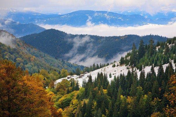 карпат