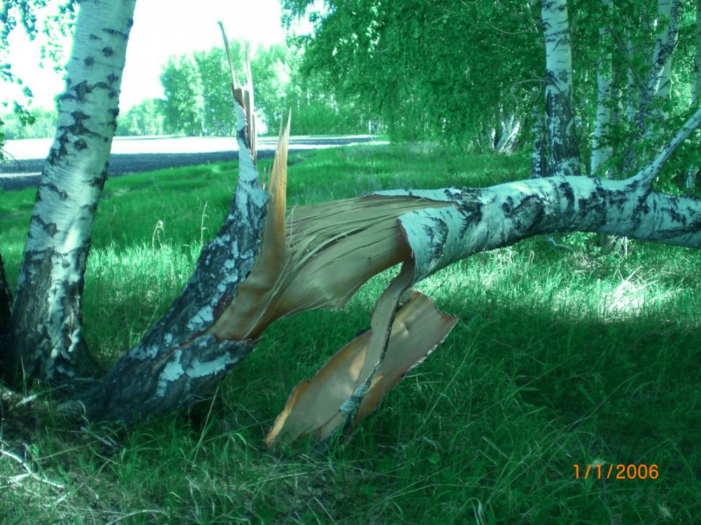 не смогла устоять.