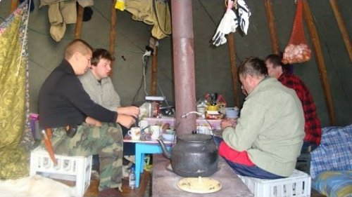 В поисках дикого оленя