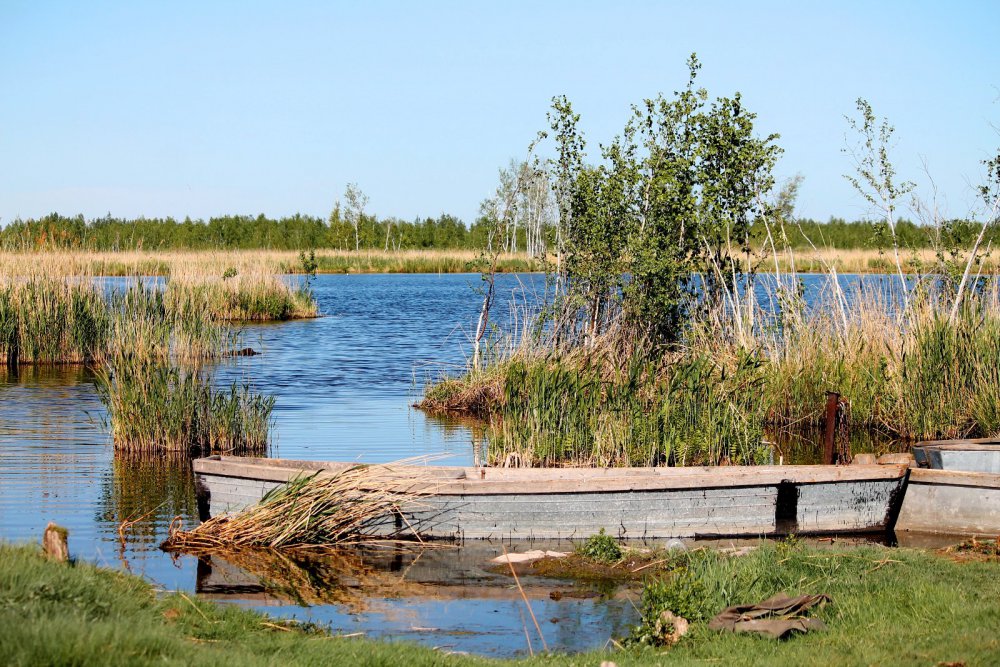 Водный транспорт