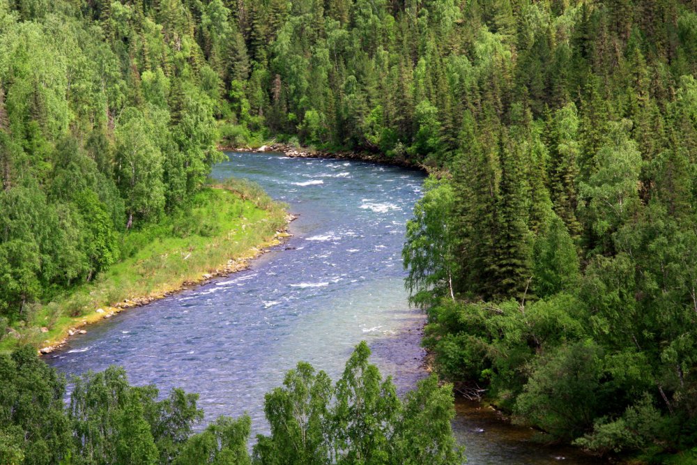 Алтай, Река Кокса