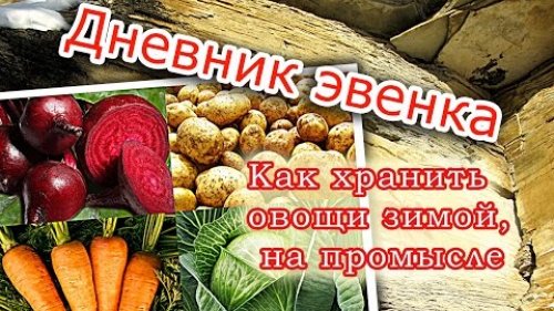 Хранение продуктов зимой на промысле.