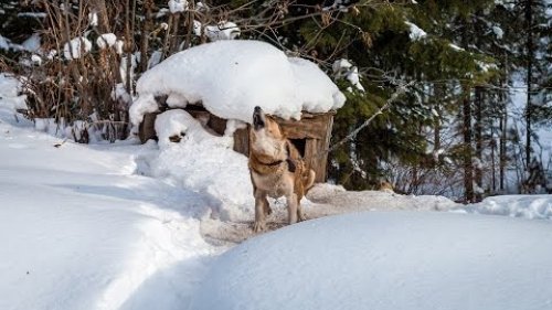 Хозяева тайги! Новый сезон! Серия №3. 2016 год.