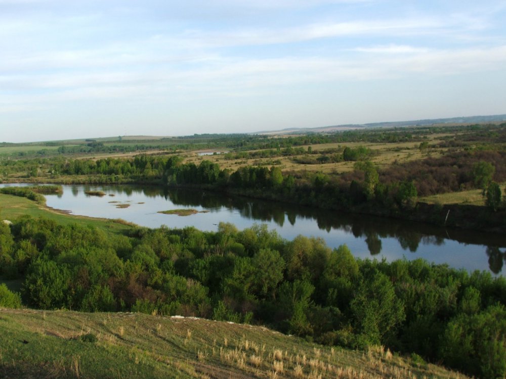 Погода алтайский край ельцовский. Ельцовка Алтайский край. Село Мартыново Алтайский край. Чумыш Алтайский край Ельцовский район.