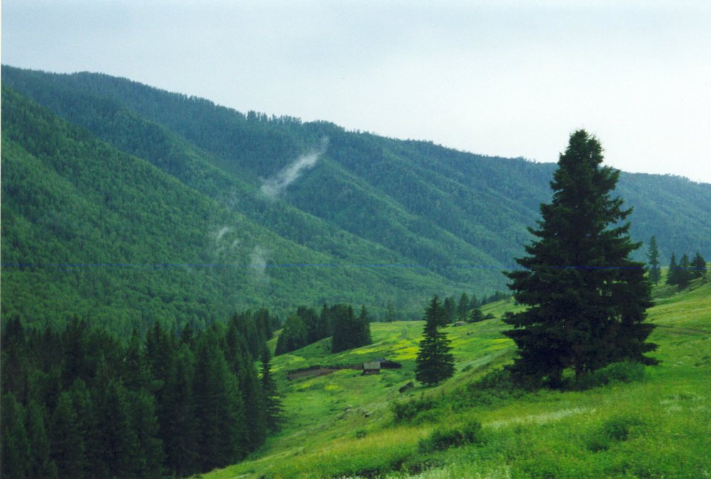 Алтай