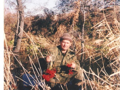 Гроздья ягоды с дерева у приграничной речки,