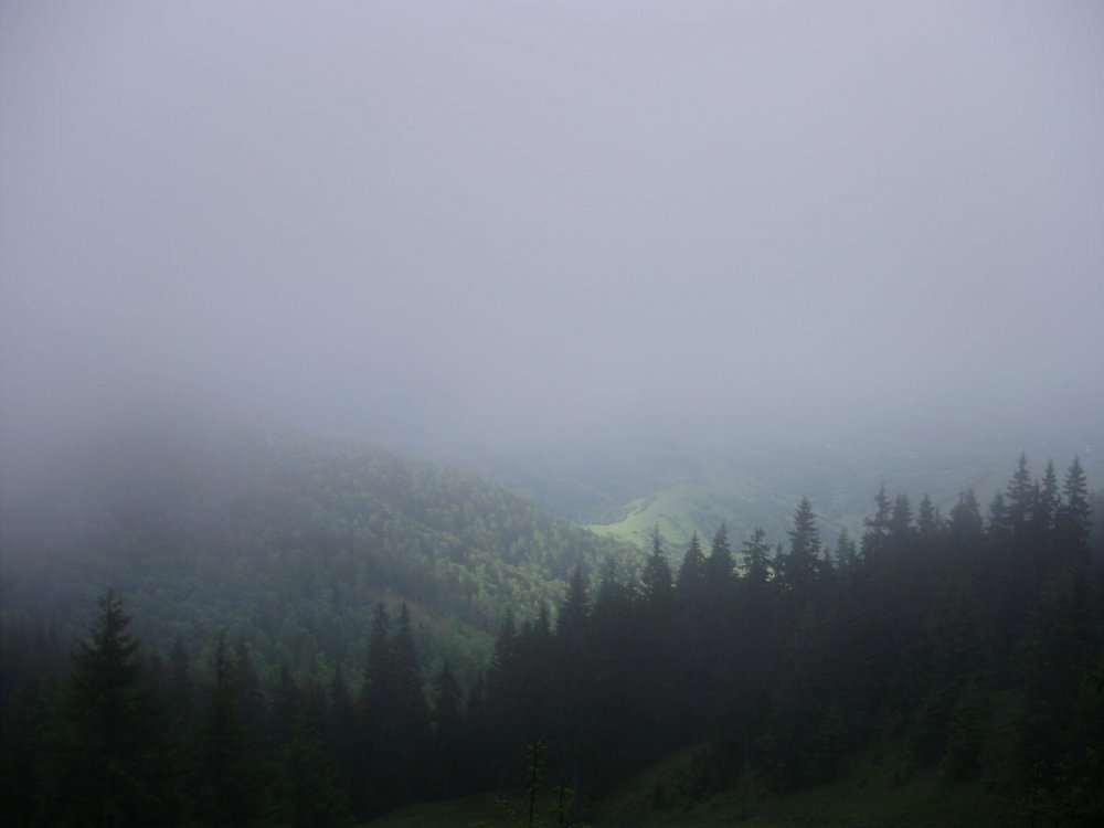 Утро прекрасное и туман окутал горы