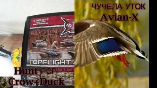 Чучела уток Avian-X (США) но сделано в Китае.