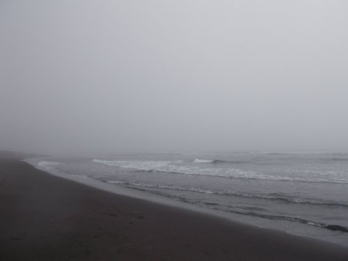 Халактрыский пляж в тумане Камчатка июнь 2016