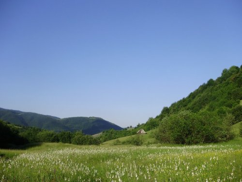 Одинокая изба в горах