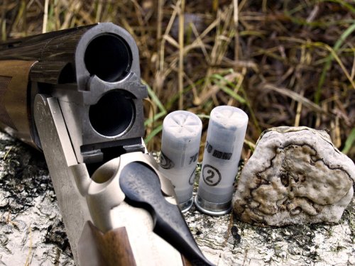В Омске избранным охотникам разрешалось отстреливать копытных в запрещенных для охоты заказниках