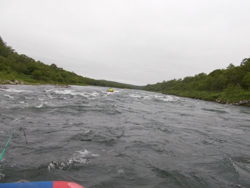 Река Быстрая (приток Большой) Камчатка июнь 2016