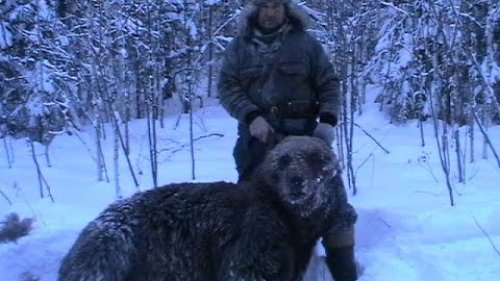 Охота на медведя Bear Hunt